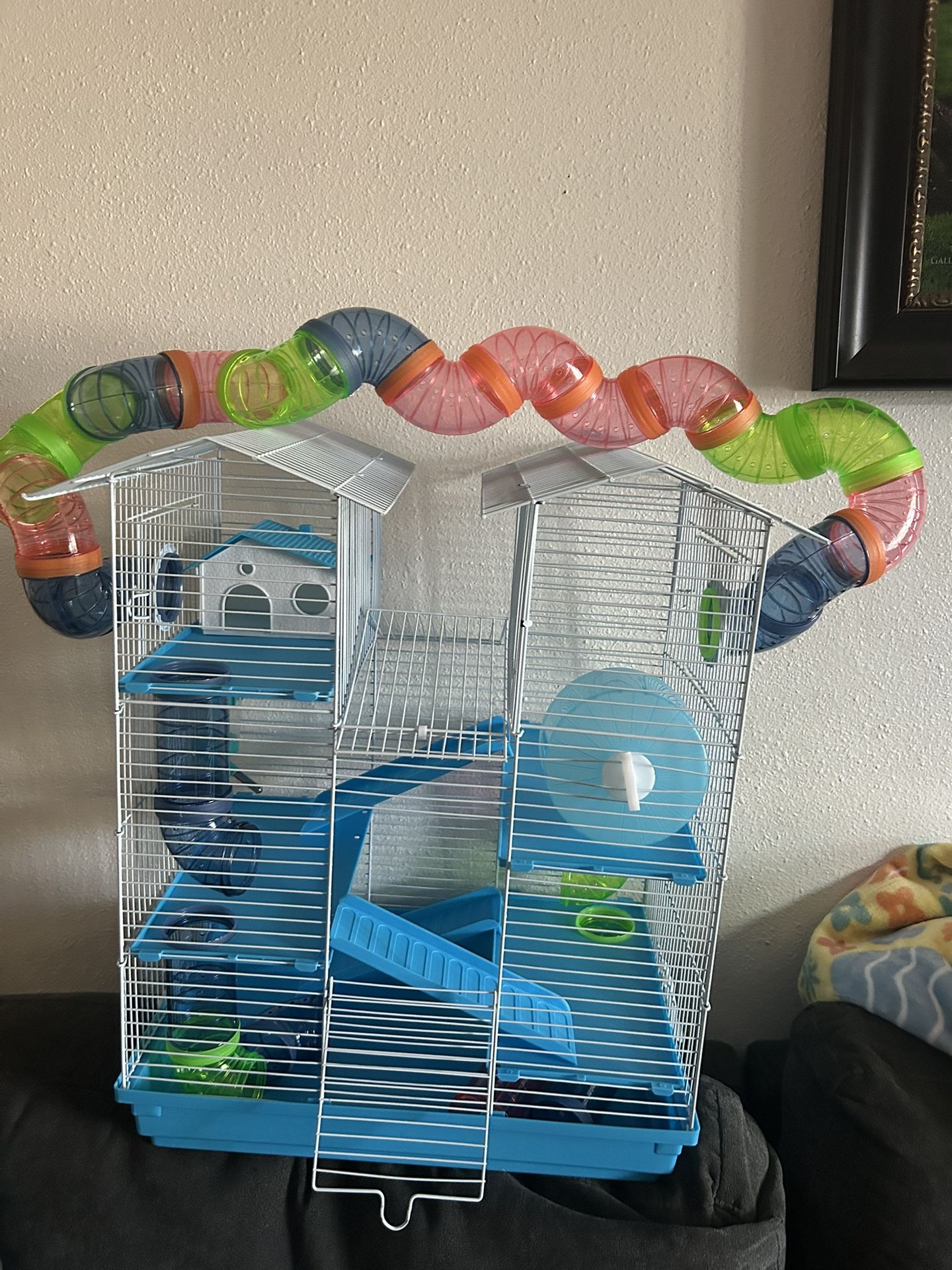 Blue Hamster Cage