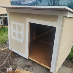Casas Para Perro
