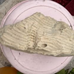 Piedra Porosa 