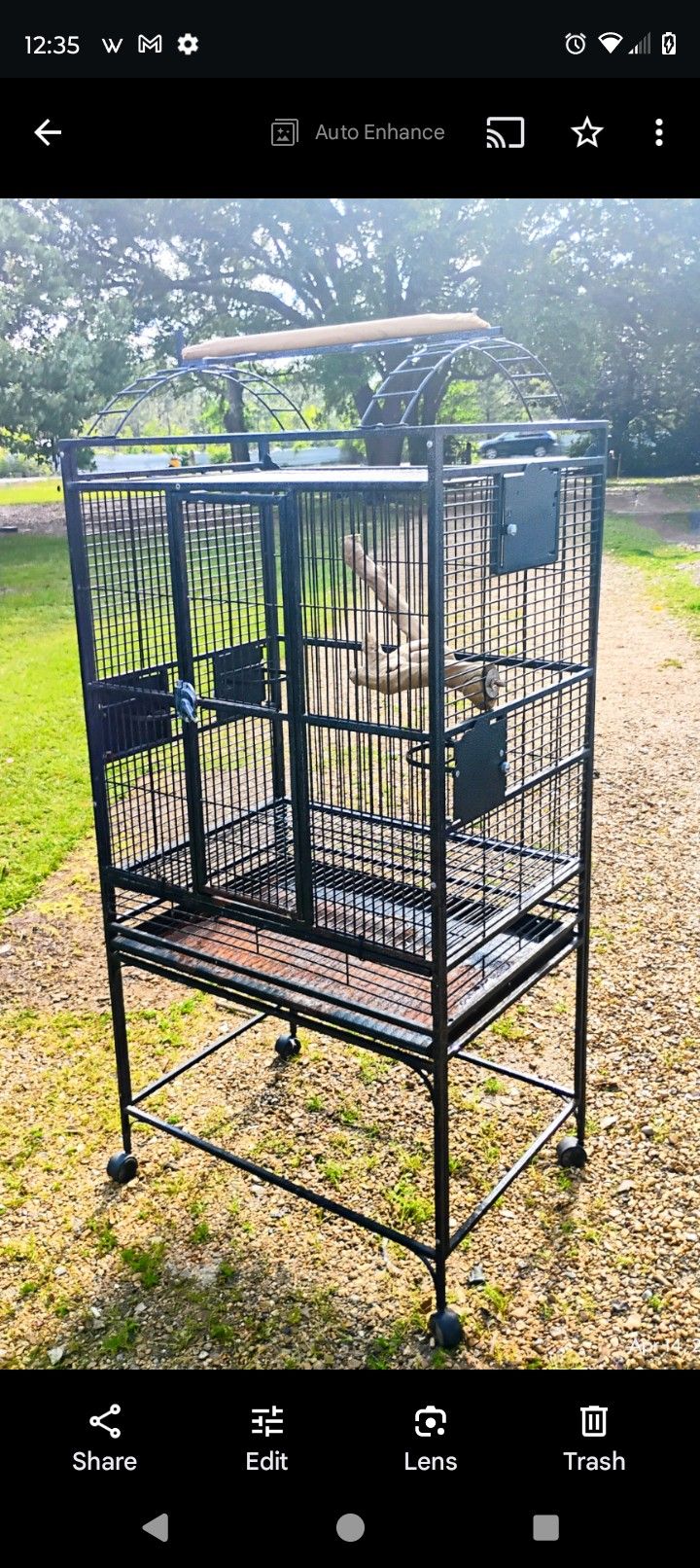 Big Bird Cage