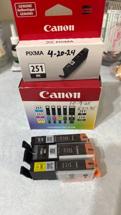 Canon 250 & 251 ink