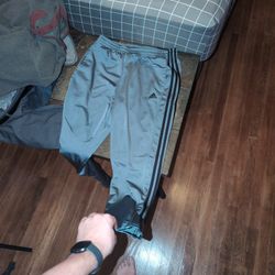 Adidas Jogger Pants 