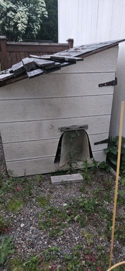 Free Free Free Dog House