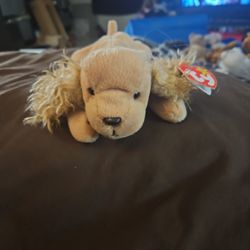 Beanie Babie  ( Spunky)