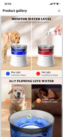 Dog Water Fountain, 1 Gallon Automatic No Spill Pet Water Bowl Dispenser for Small Medium Large Dogs with Vortex Filter, Deep Drinking Area and Quiet 