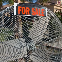 Fan