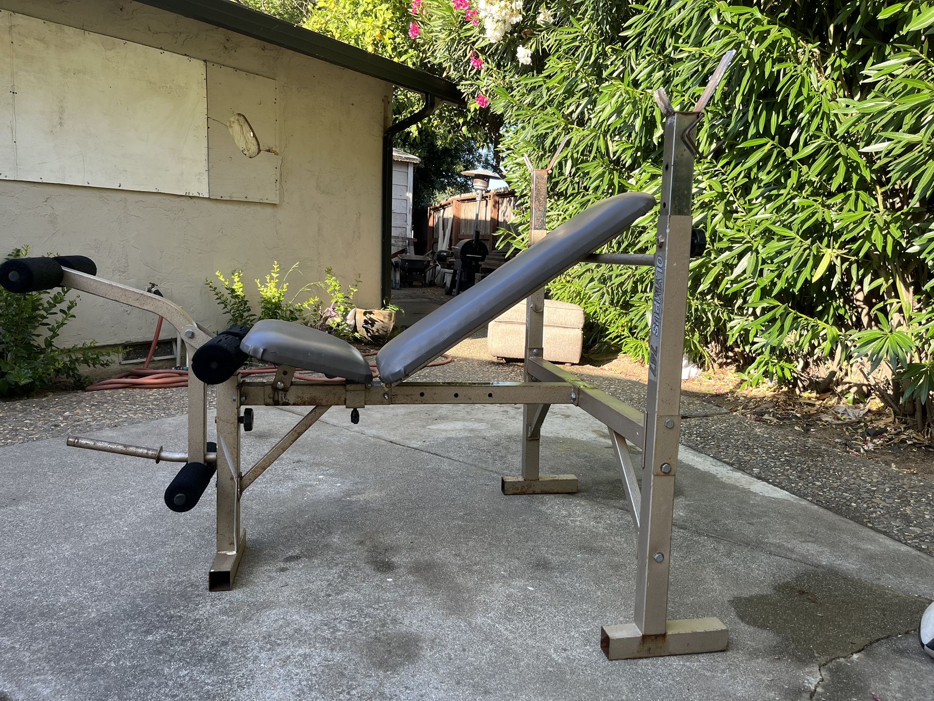 Bench Press