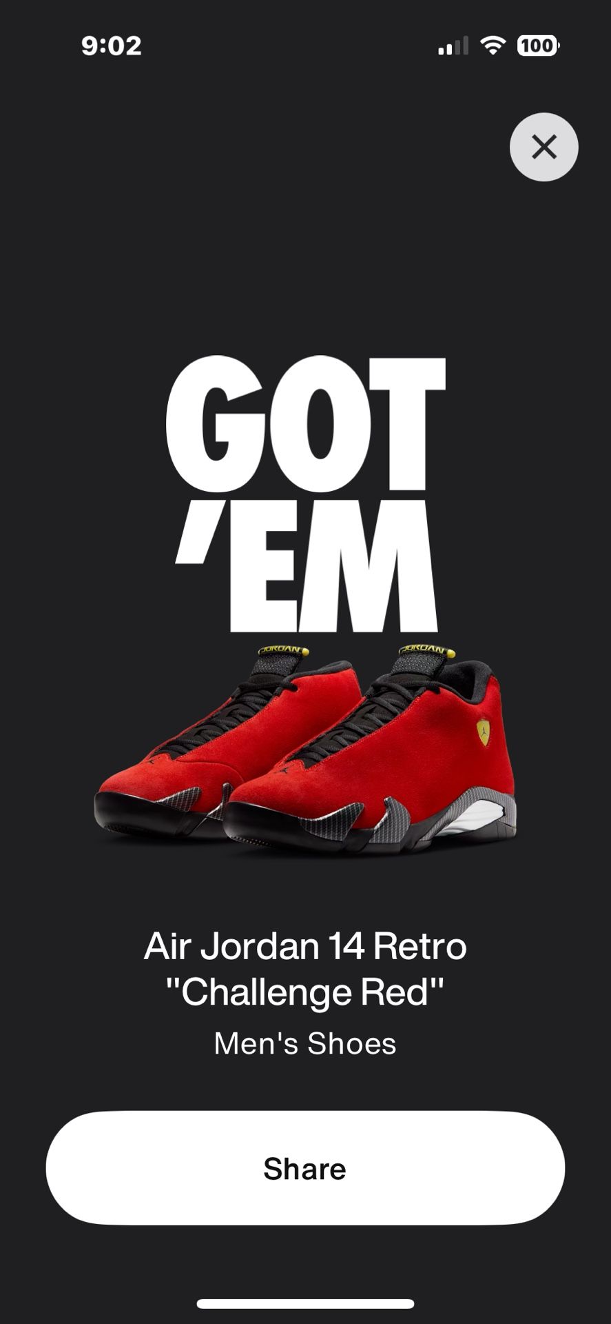 Jordan 14 Ferrari Size 13