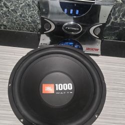 10 Inch Subwoofer X 2 Channel Amplifier 