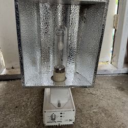 300W Grow Light – Tested, Ready to Use - $20