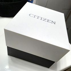 Citizen Eco-Drive Men's Watch