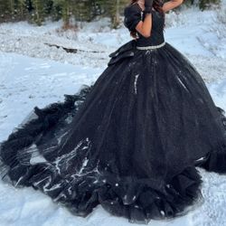 Black Shimmery Quinceanera Dress 