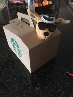 Covid/Delta  🥵 Talking Emotional Support DOG