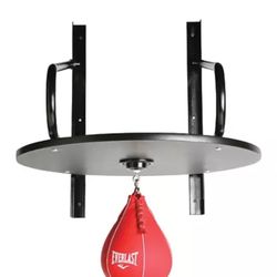 Speed Punching Bag