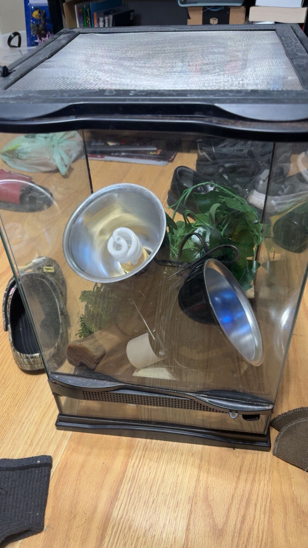 Tank with Lights And Decor