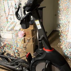 Schwinn Equality $100