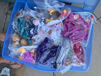 Huge Lot Of Beanie Babies