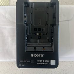 Excellent Sony OEM camera battery charger BC-QM1