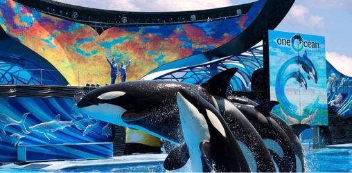 Seaworld Orlando