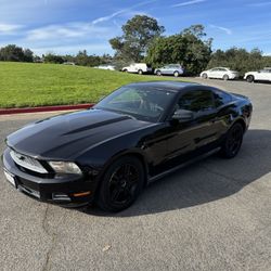 Black On Black Muscle Car 