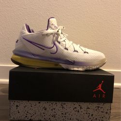Nike Mens Lebron's Lakers Edition Size 11