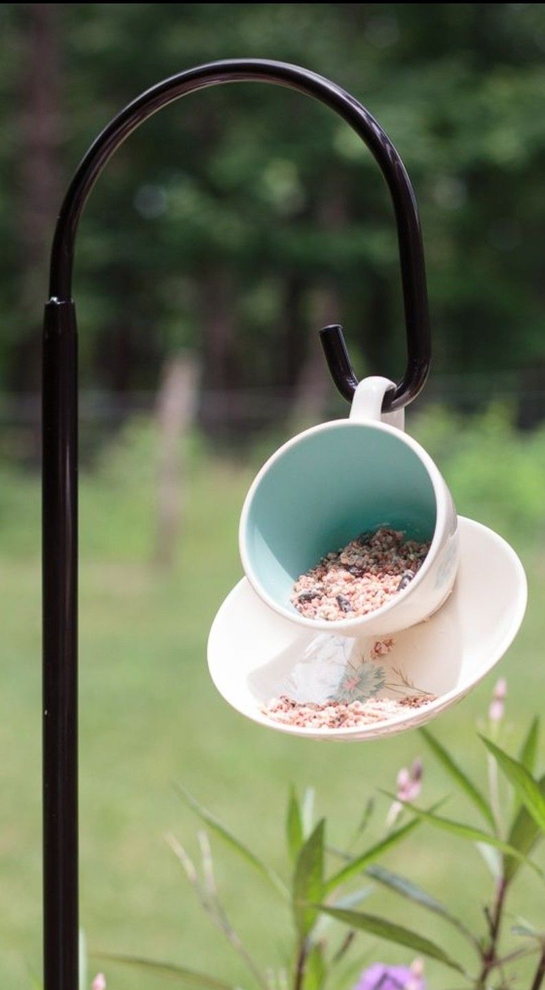 Bird Feeder