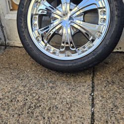 Son Tamaño 17 Doble  Medida 