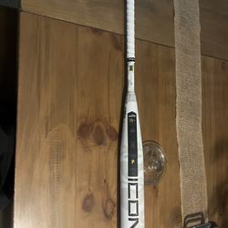 Baseball Bat Rawlings ICON
