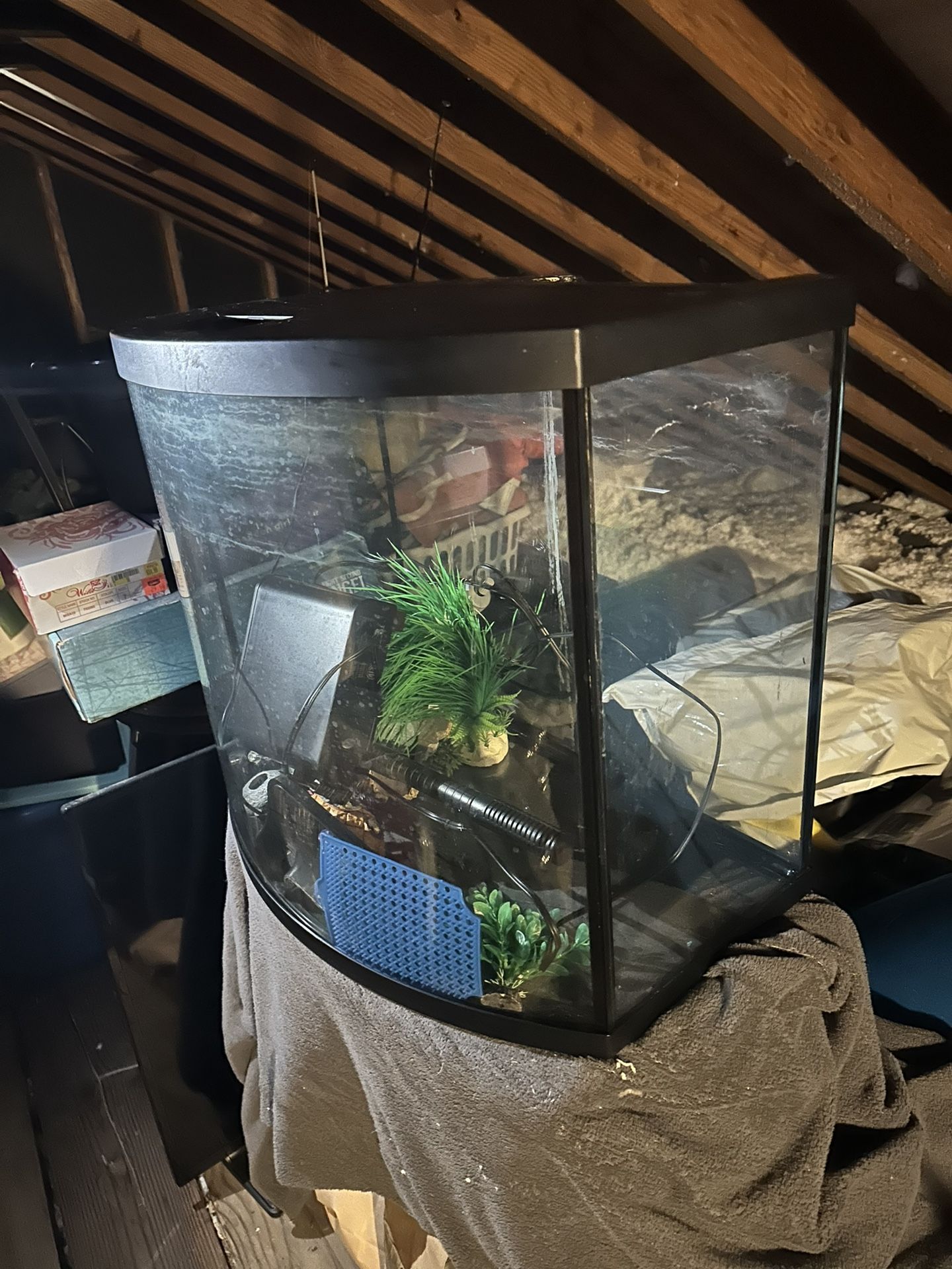 19 Gallon Fish Tank With Accessories
