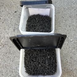 Drywall Screws 1 1/4” And 1 5/8”