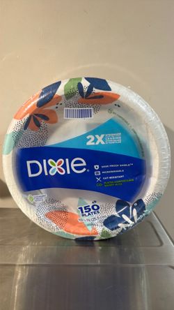 Dixie 150 plates