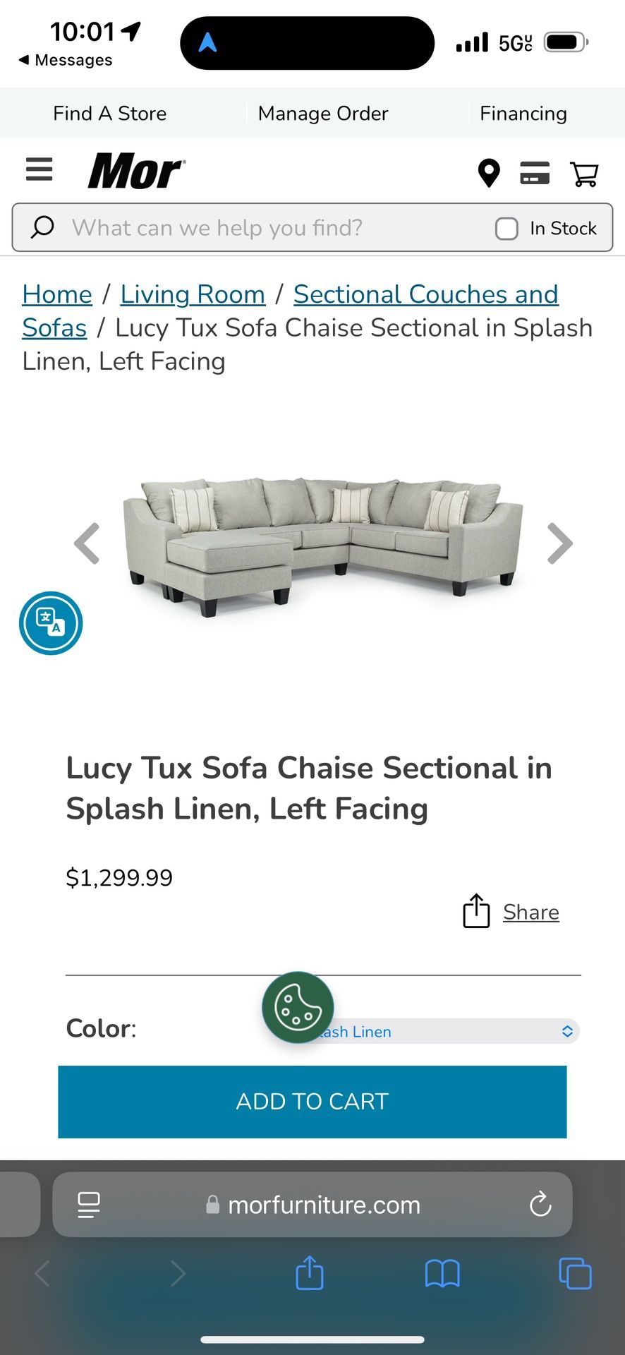 Sectional Couch