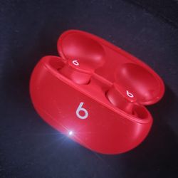Beats Studio Buds 