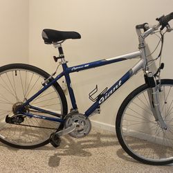Mint Giant Cypress DX-Fully Serviced 