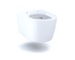 TOTO
RP D-Shape Wall Mounted Toilet Bowl Only with CeFiONtect
