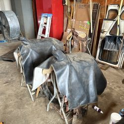 Horse Tack 