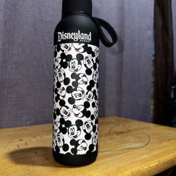 Disneyland Water Bottle