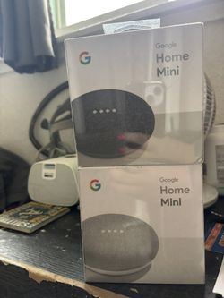 2 Google Home Mimi’s