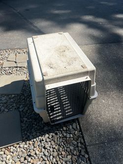 Large Dog kennel