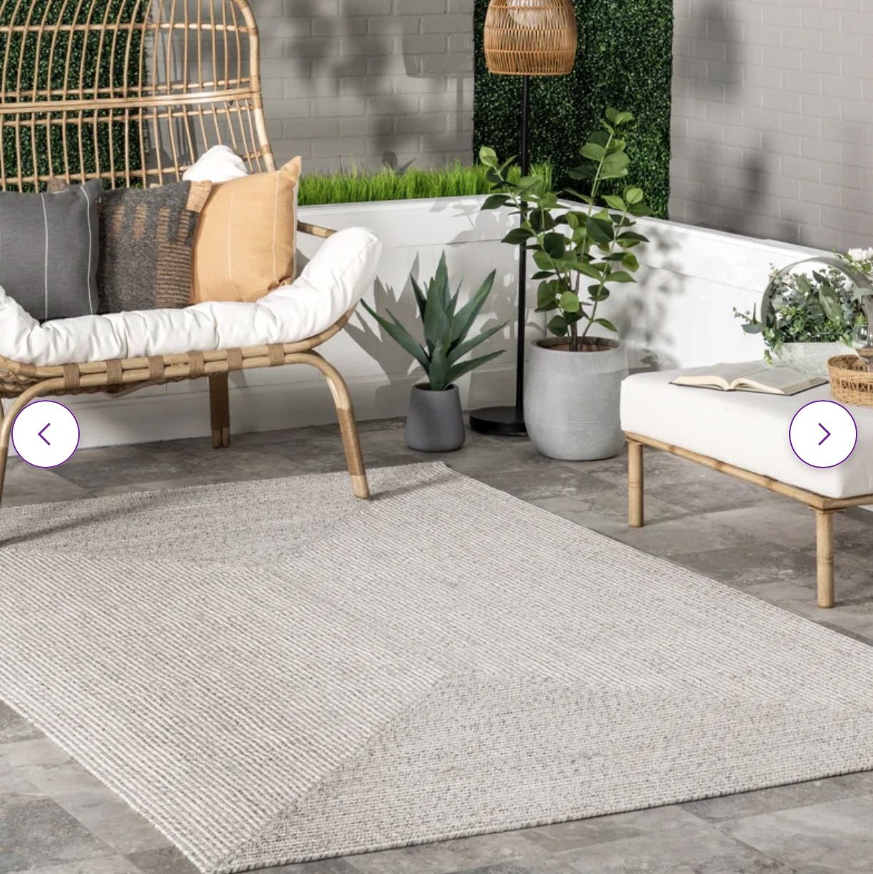 Brand New Indoor/outdoor Rug $75