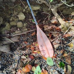 Lavika Double Sided Paddle