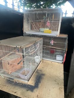 Cage
