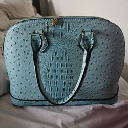 Turquoise Purse