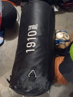 Everlast punching bag