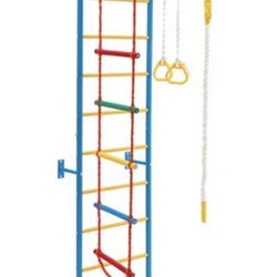 Wall Mount Jungle Gym