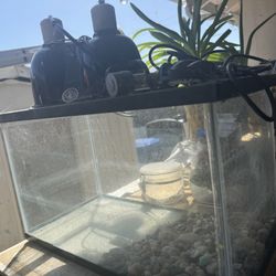 Aquarium 
