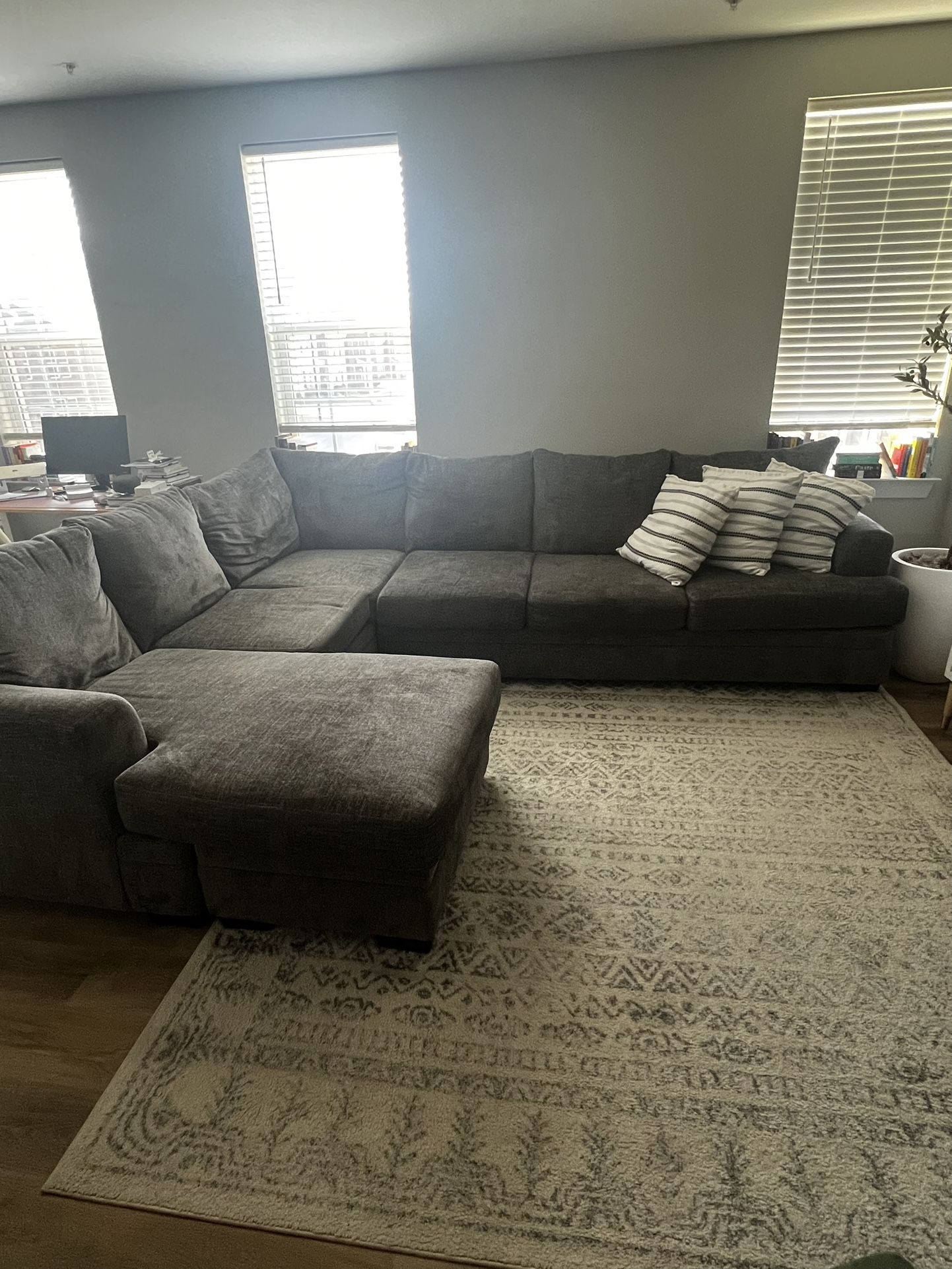 Grey Sectional Couch