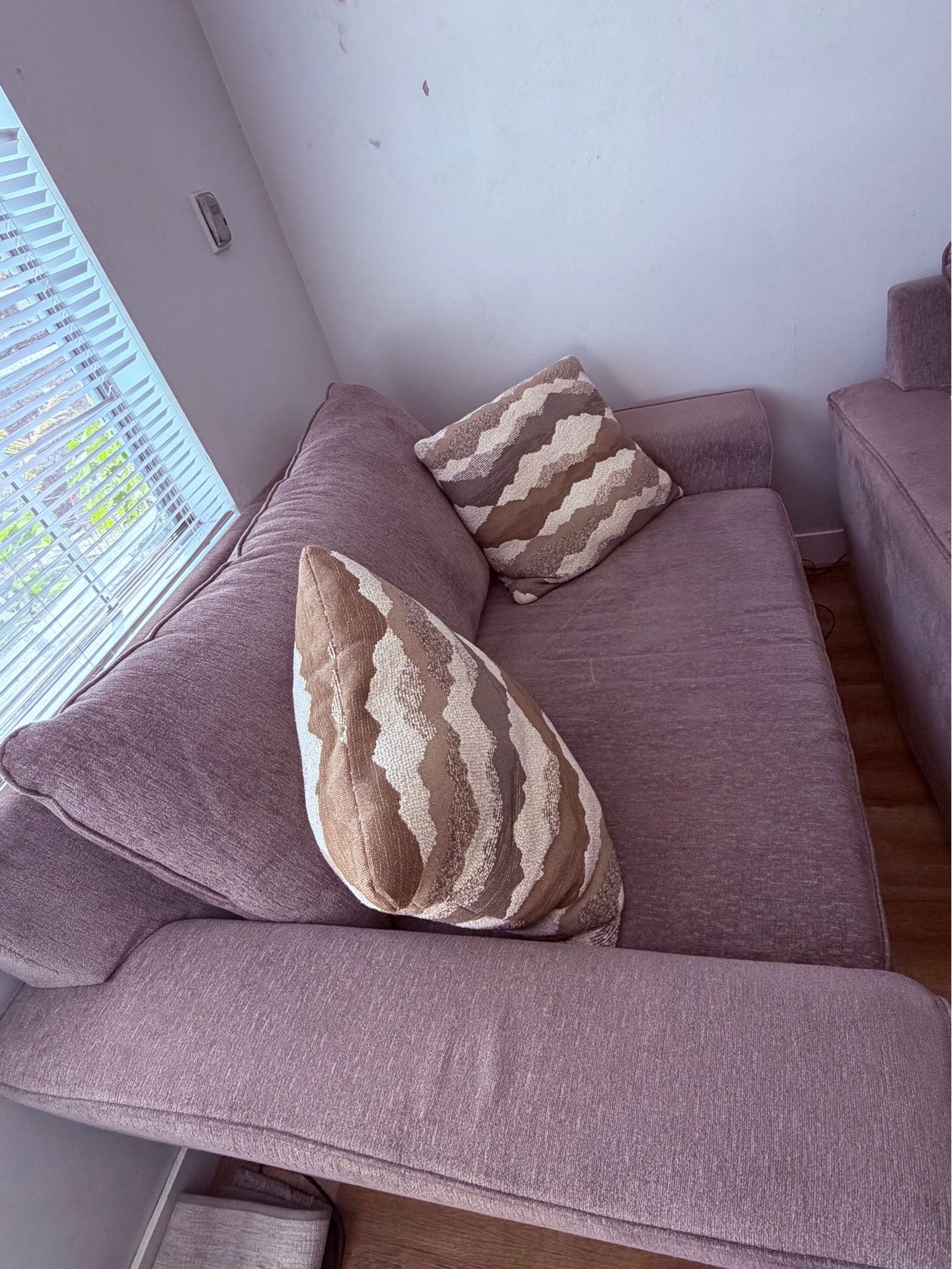 Sleeper Sofa and loveseat
