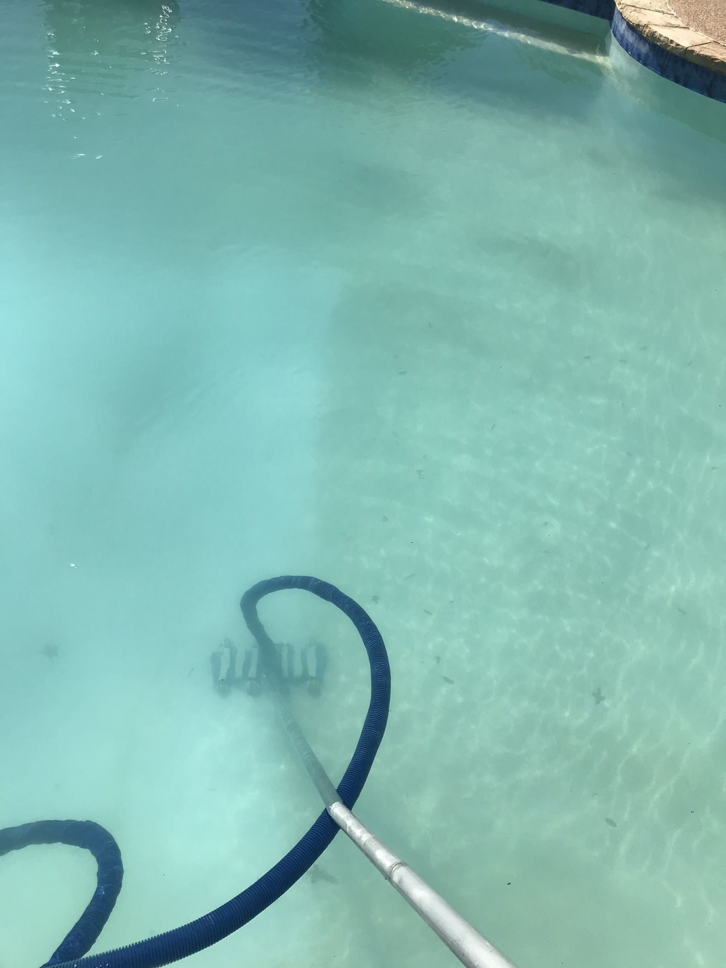 Limpieza De albercas