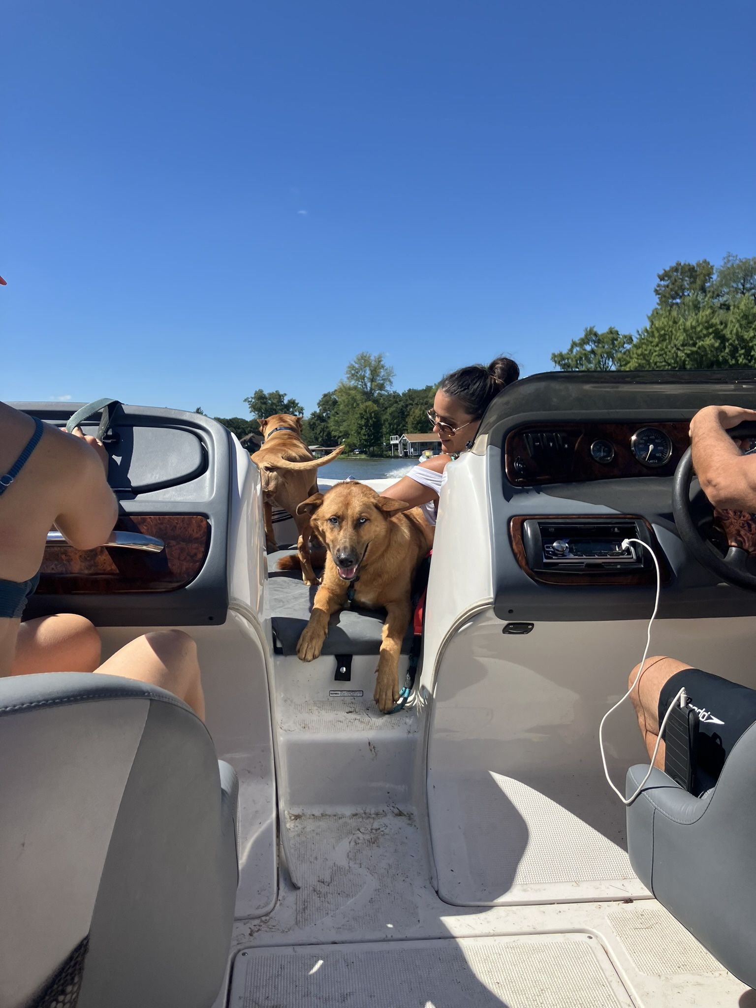 Lake Michigan Boat Rides, Concert Drop Offs At Northerly Island/soldier Field